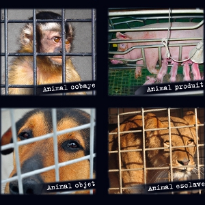 24 mars 2012 : Marche pour les Animaux
