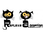 Merci à tous pour Réflexe Adoption !