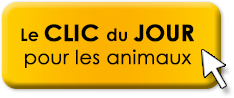 Clic animaux 2022 - Page 2 Clic-du-jour-button